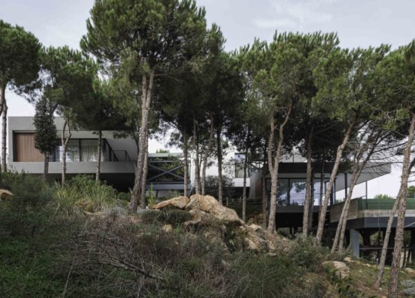 Villa Grazalema nestled among pine trees on a steep hillside in Sotogrande, Cádiz