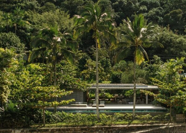 Patios House enveloped by lush green tropical vegetation on all sides.