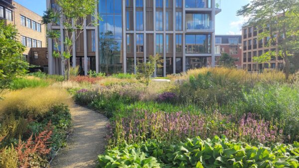 Meelfabriek Garden planting design Piet Oudolf seasonal vegetation