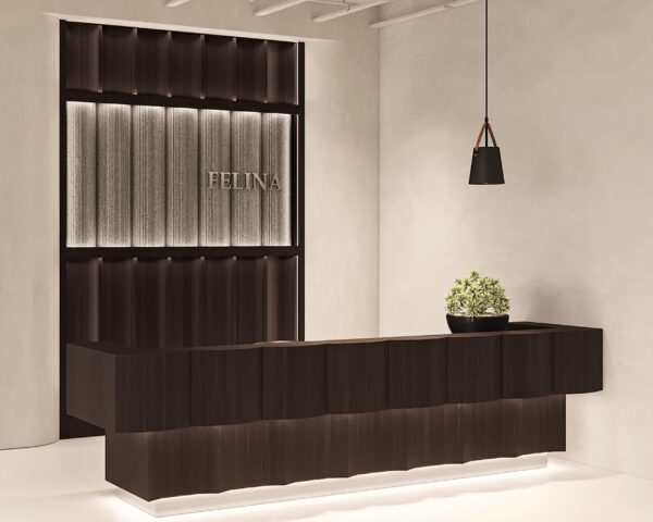 Felina Corporate reception area Los Angeles office design