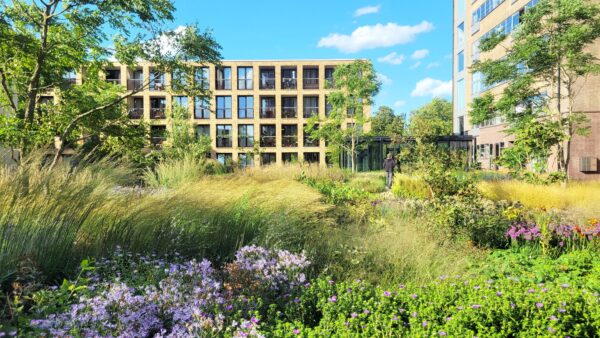 Meelfabriek Garden seasonal change planting landscape photography